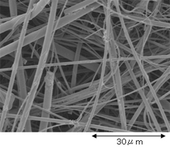 ガラスペーパーのSEM写真